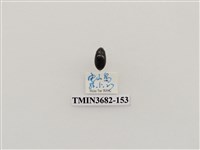 藏品(鞘翅目(2))的圖片